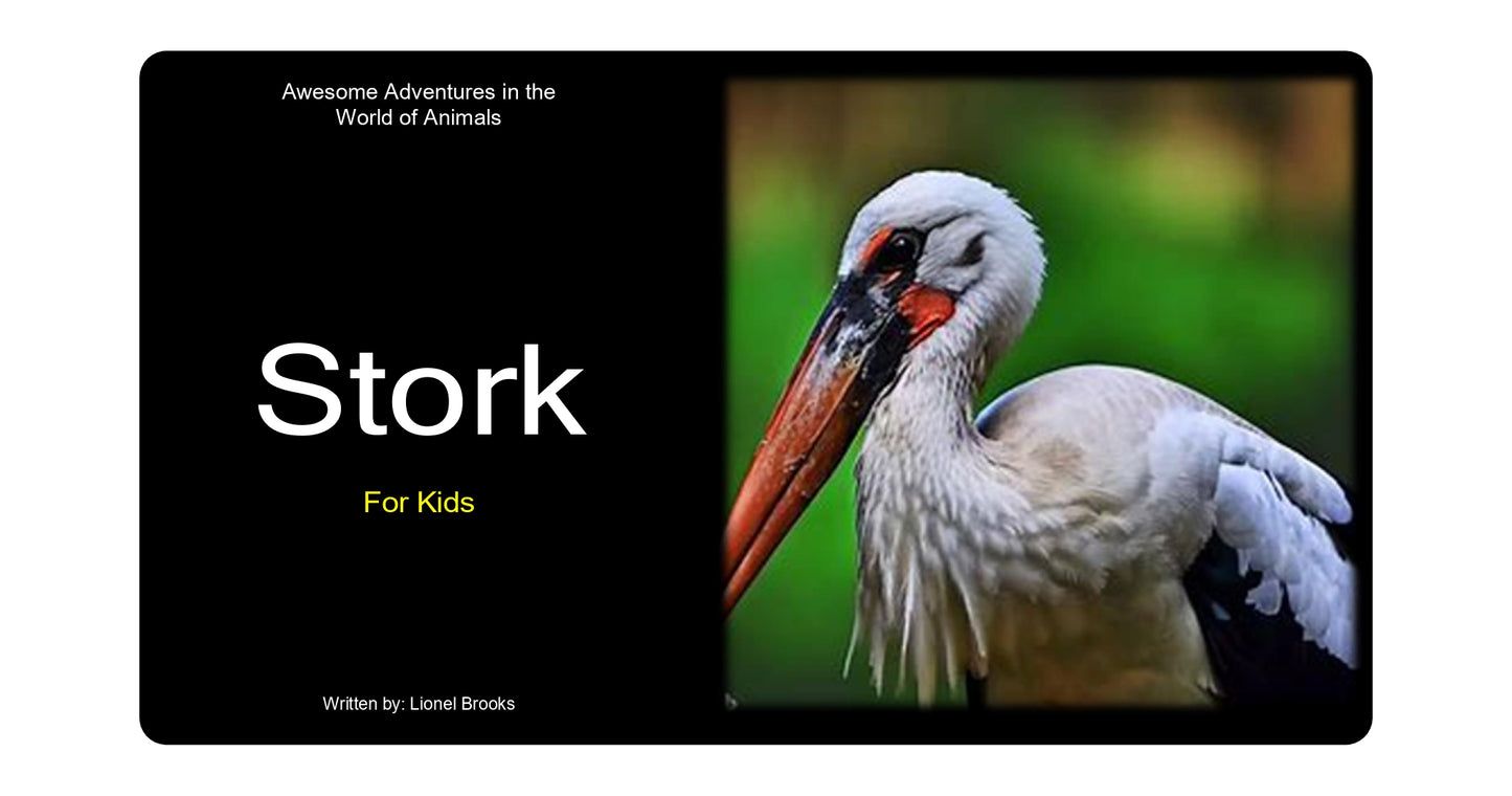 Adventures in the World of Animals Storck
