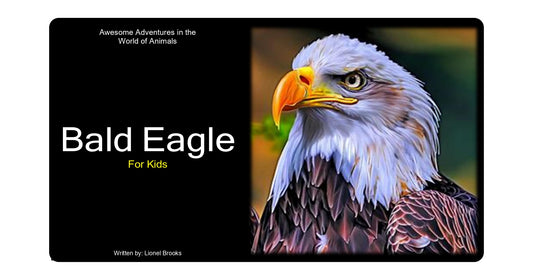 Adventures in the World of Animals Bald Eagle