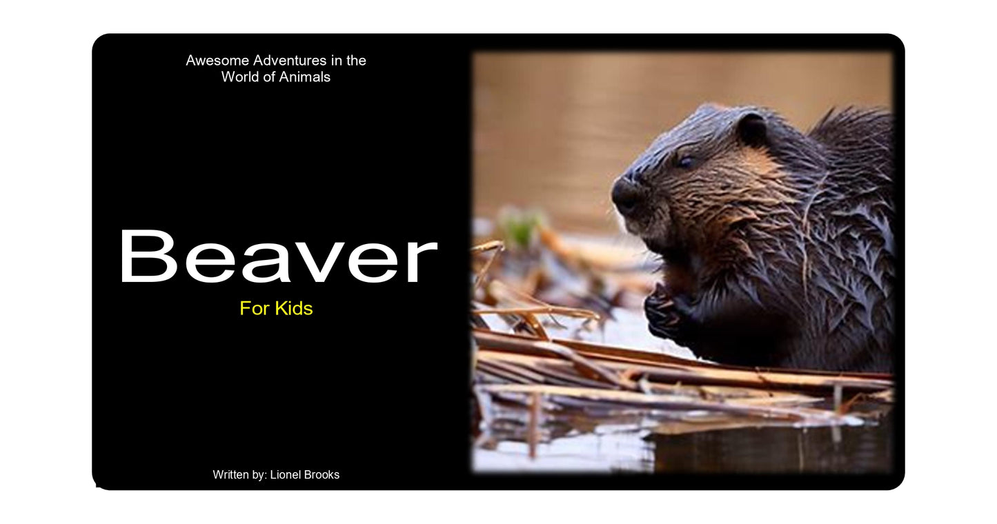 Adventures in the World of Animals Beaver