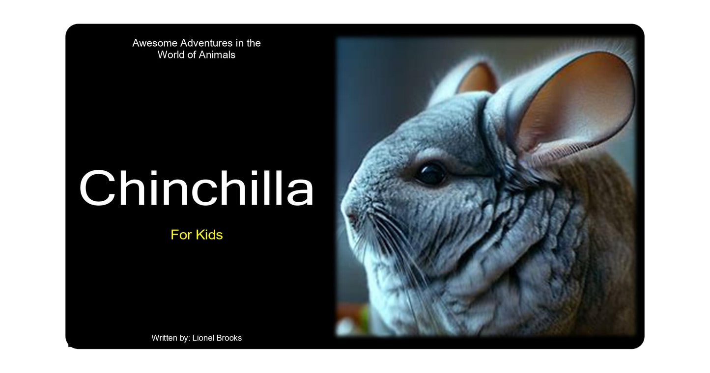 Adventures in the World of Animals Chinchilla