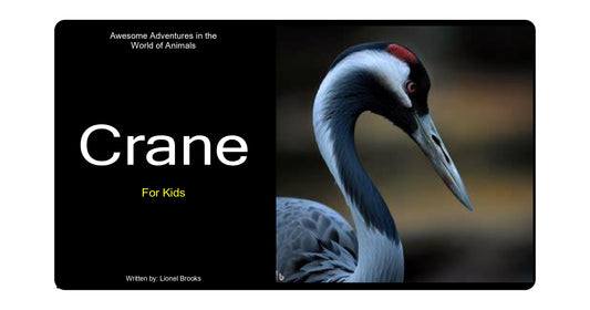 Adventures in the World of Animals Crane