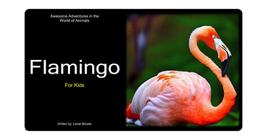 Adventures in the World of Animals Flamingo