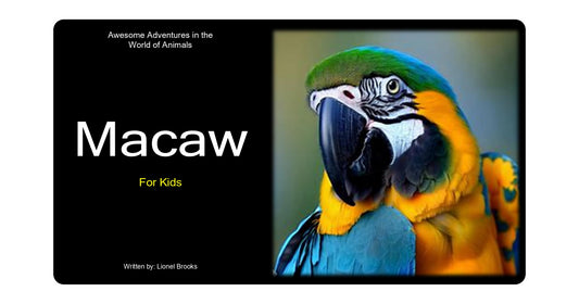 Adventures in the World of Animals Macaw