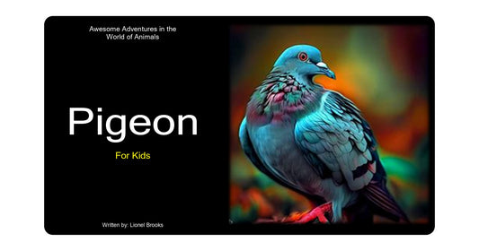 Adventures in the World of Animals Pigeon