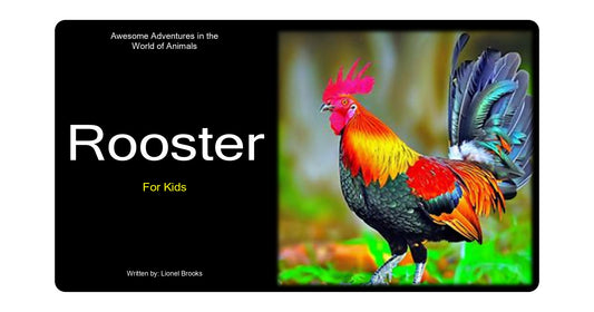 Adventures in the World of Animals Rooster