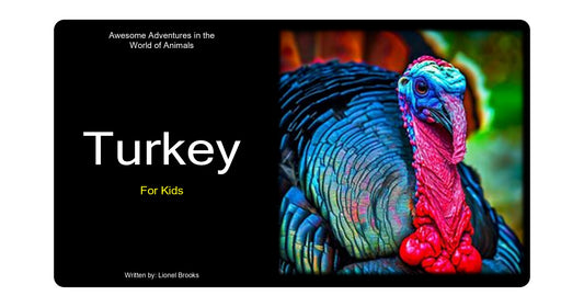 Adventures in the World of Animals Turkey