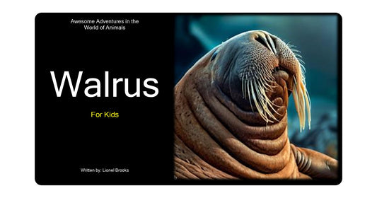 Adventures in the World of Animals Walrus