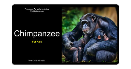 Adventures in the World of Animals Chimpanzee
